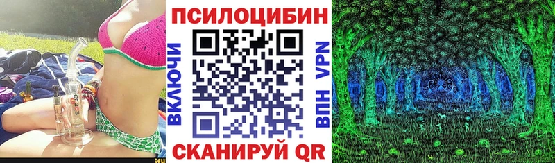 Галлюциногенные грибы Magic Shrooms  где купить наркоту  Новозыбков 