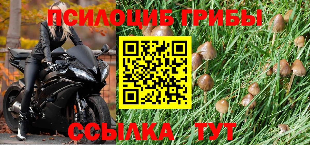 Псилоцибиновые грибы ЛСД Новозыбков