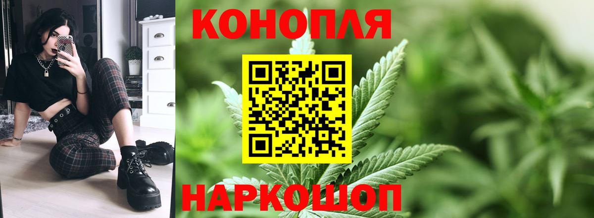 МАРИХУАНА ГИДРОПОН Новозыбков